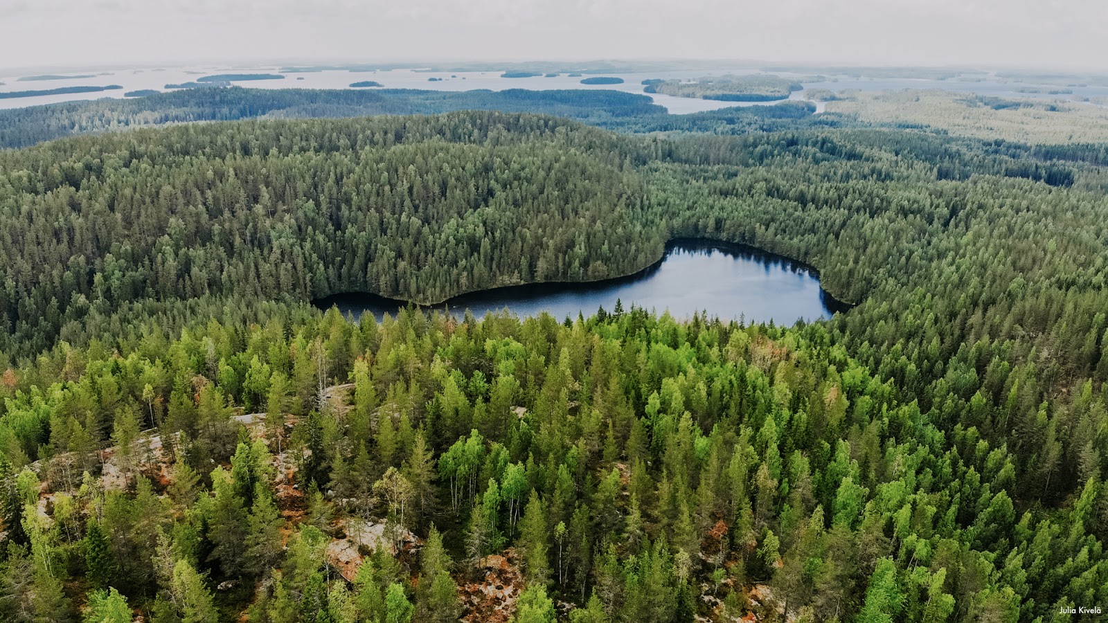 Mökki Keski-Suomesta - Tasokkaat vuokramökit ja vuokrahuvilat |  Mö