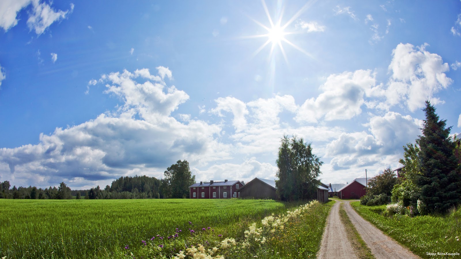 Mökki Etelä-Pohjanmaalta - Tasokkaat vuokramökit ja vuokrahuvilat |  Mö