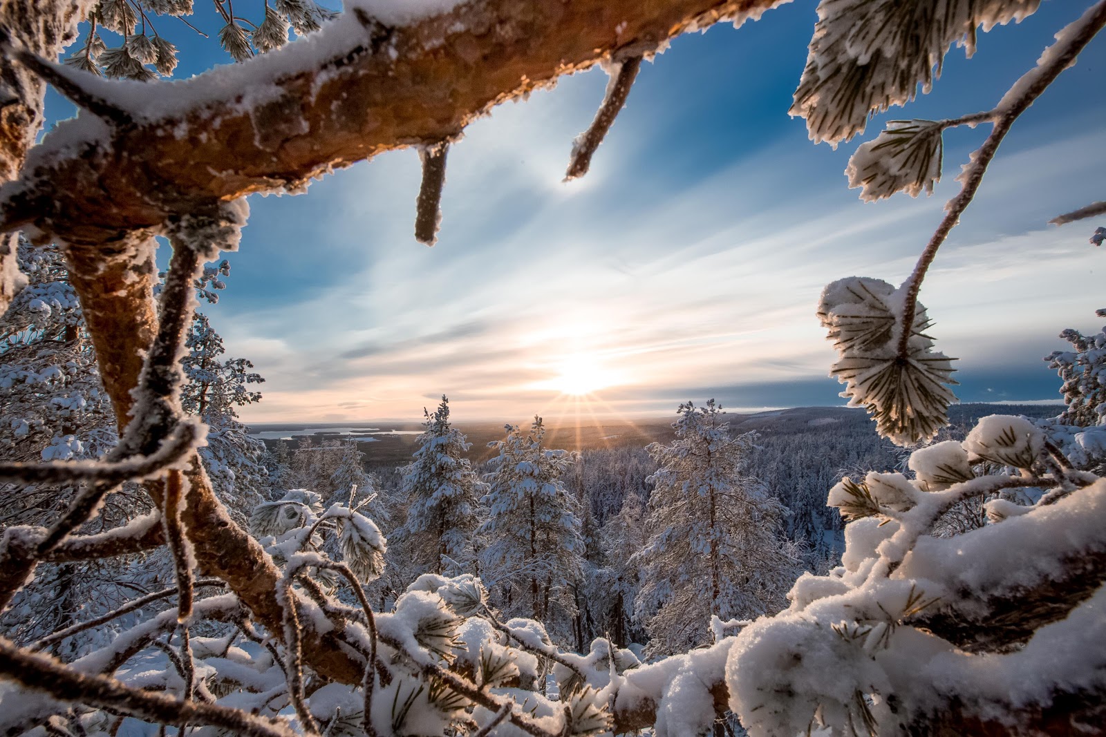 Mökki Tahkolta - Tasokkaat vuokramökit ja vuokrahuvilat | Mö