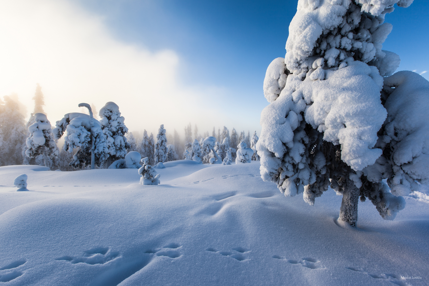 Chalet Ruka Highquality rental chalets, villas and cottages