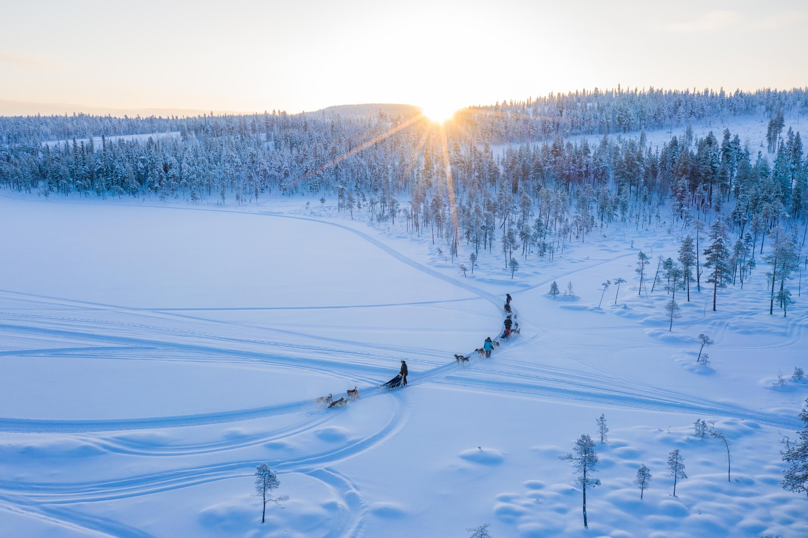 Husky Sledding