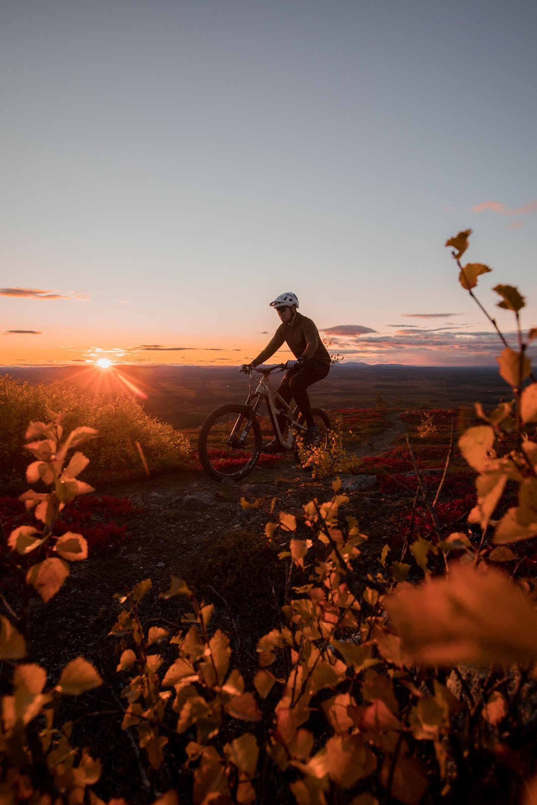 E-Fat Biking & Mountain Biking