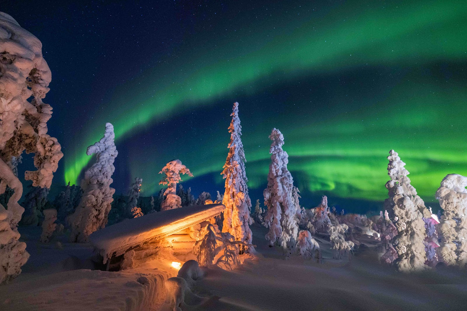 Lapland Bucket List